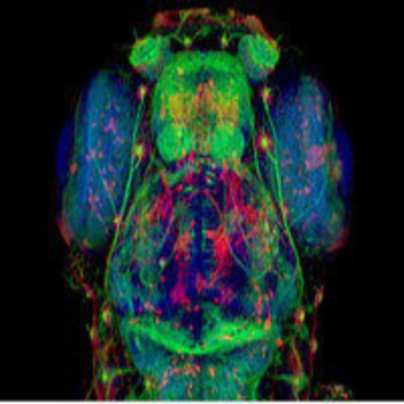 Podcast MISTERIOS DE HIRAM