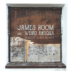 Noche de Rock 1184 - James Room and Weird Antiqua - Action Weekend