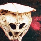 Hallan un cráneo igual que el de Rhodope ¿Es Extraterrestre?