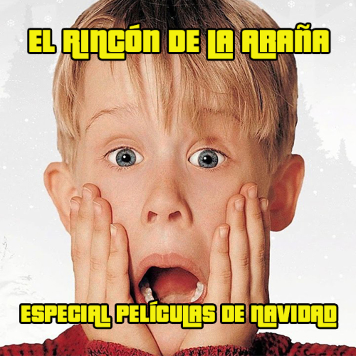 El Rincón De La Araña