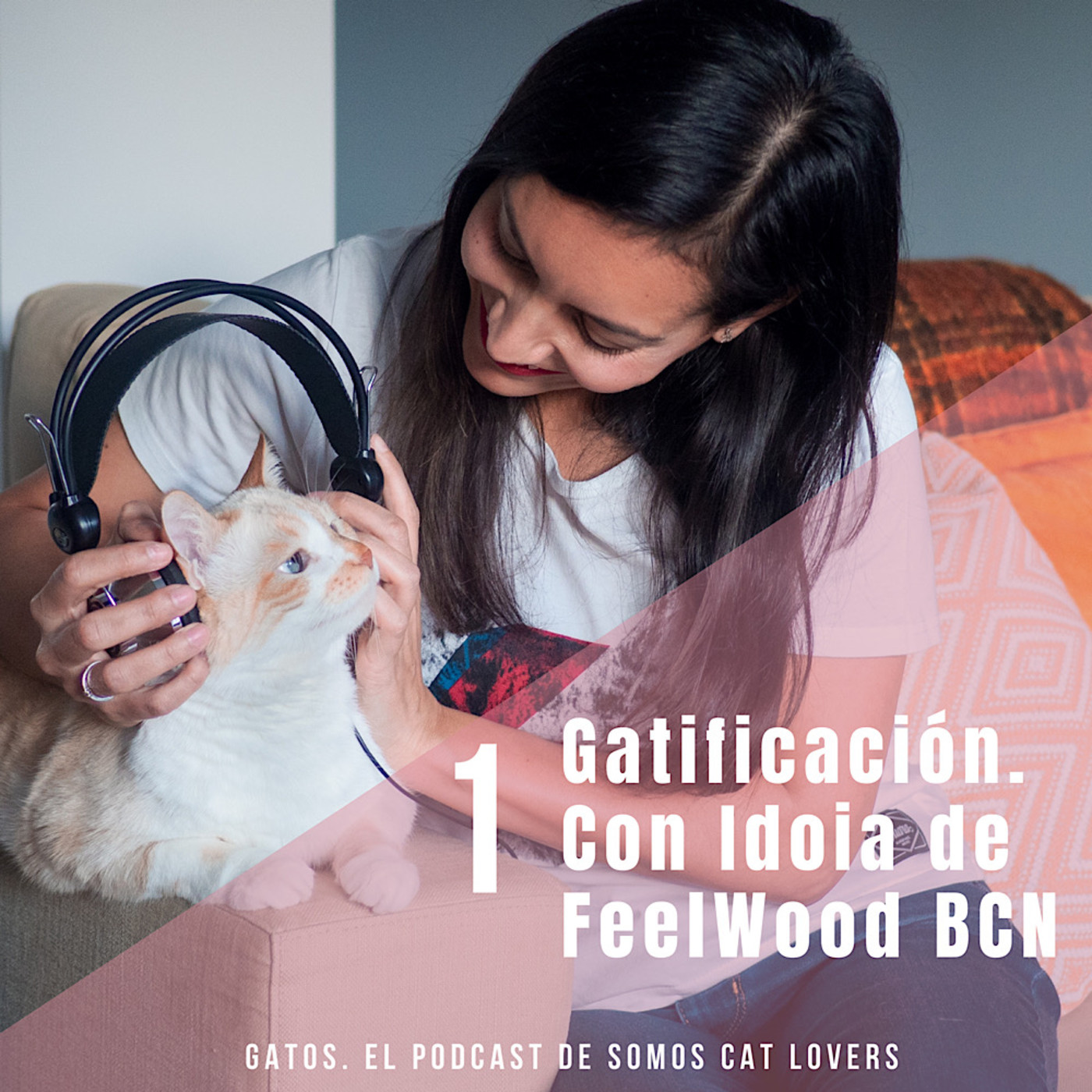 Gatos. El Podcast de Somos Cat Lovers