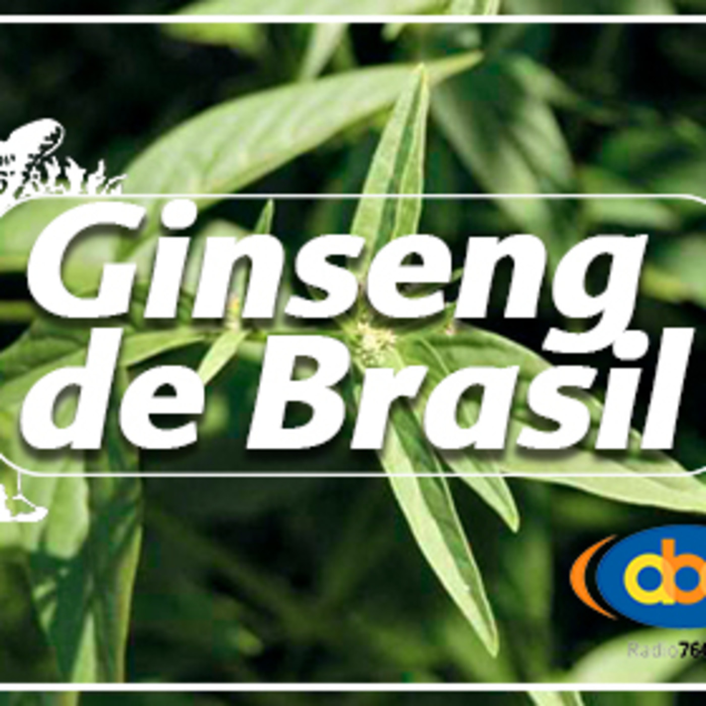 El Ángel de tu Salud - GINSENG DE BRASIL episode artwork