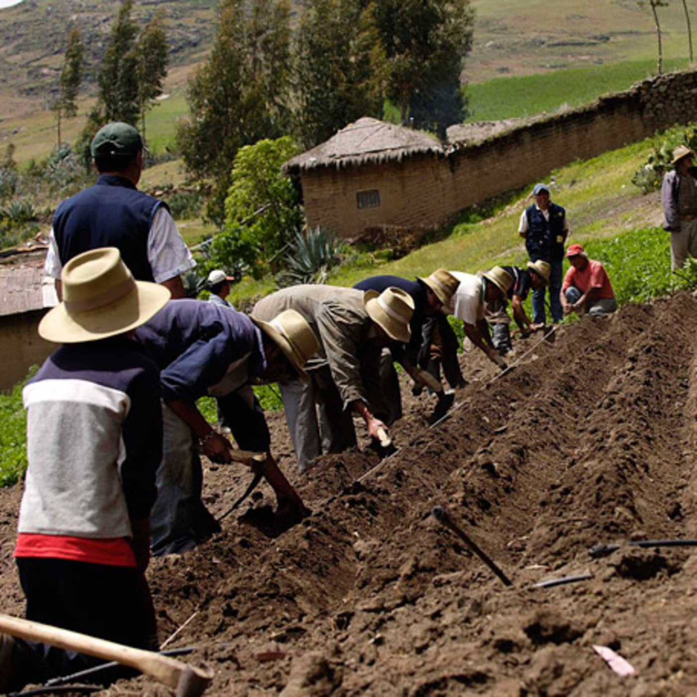 Red de Prensa Alternativa Zur RPAZ