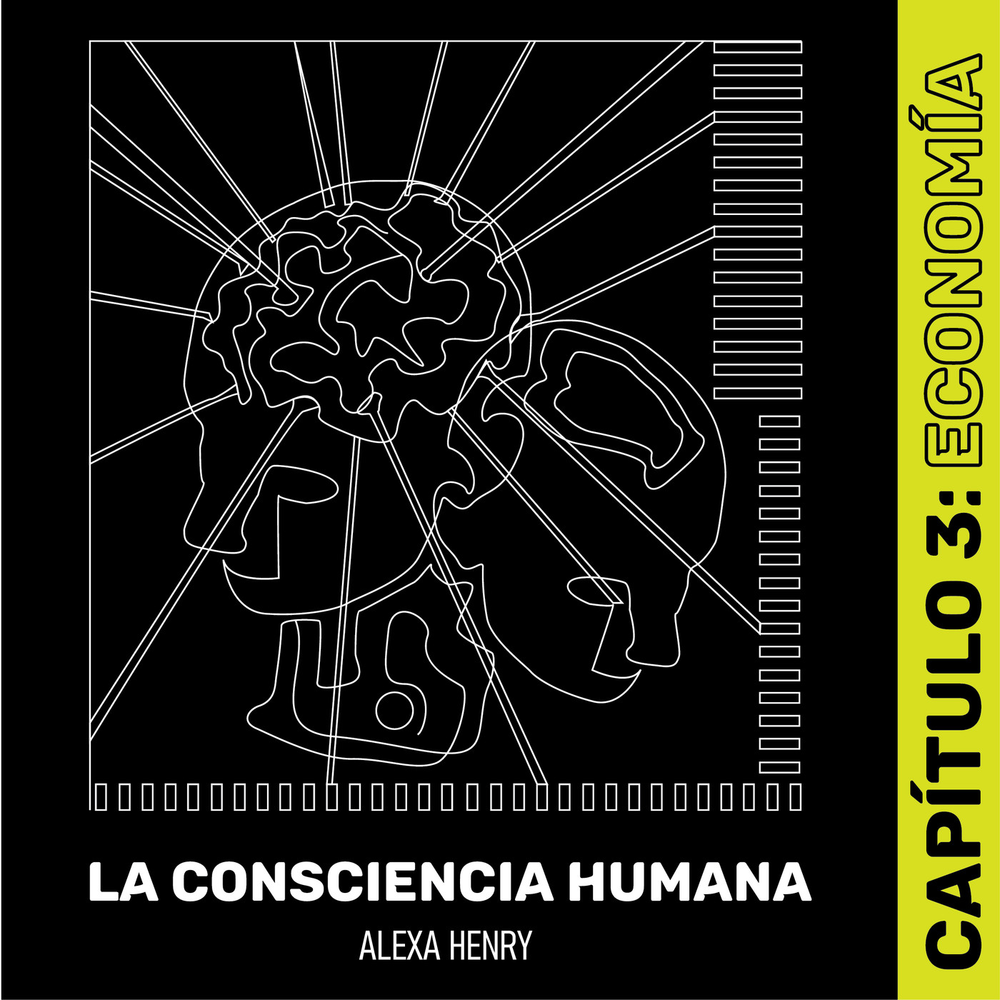 LA CONSCIENCIA HUMANA