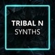 Tribal N Synths