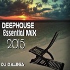Dj Dalega - Deephouse Essential Mix 2015