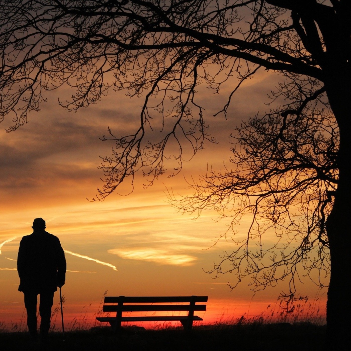 Sobre la crisis actual. Lorenzo Trujillo