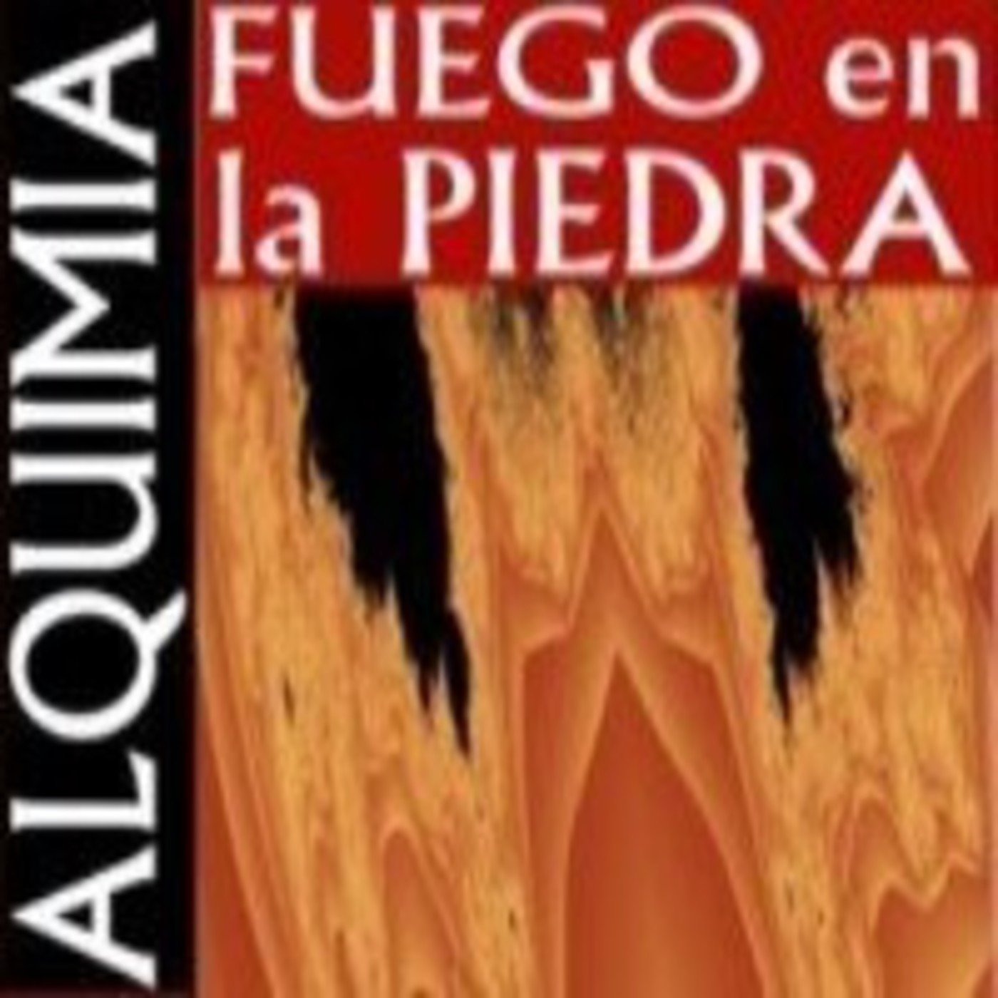 Cursos impartidos por Enrique Eskenazi