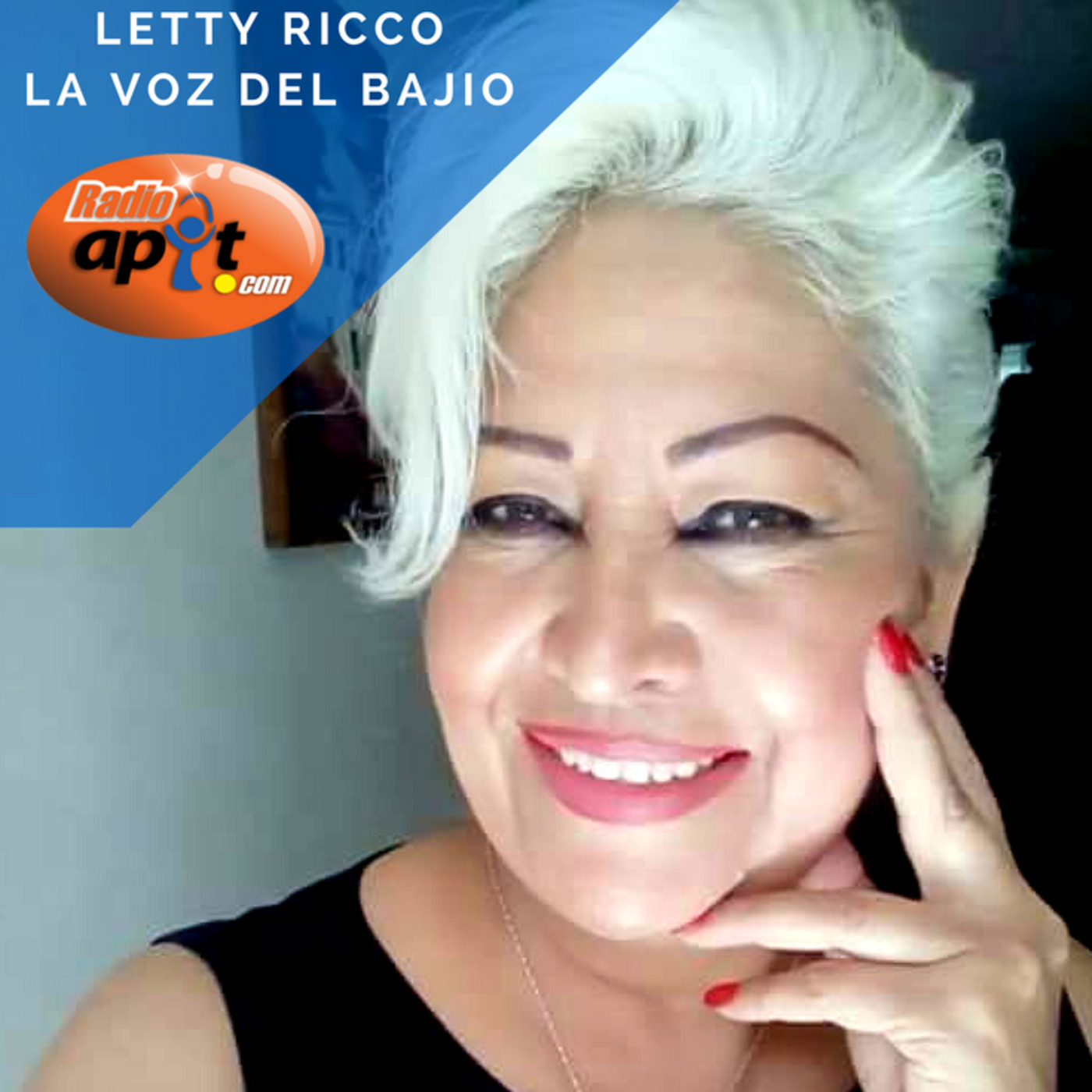 LA VOZ DEL BAJÍO