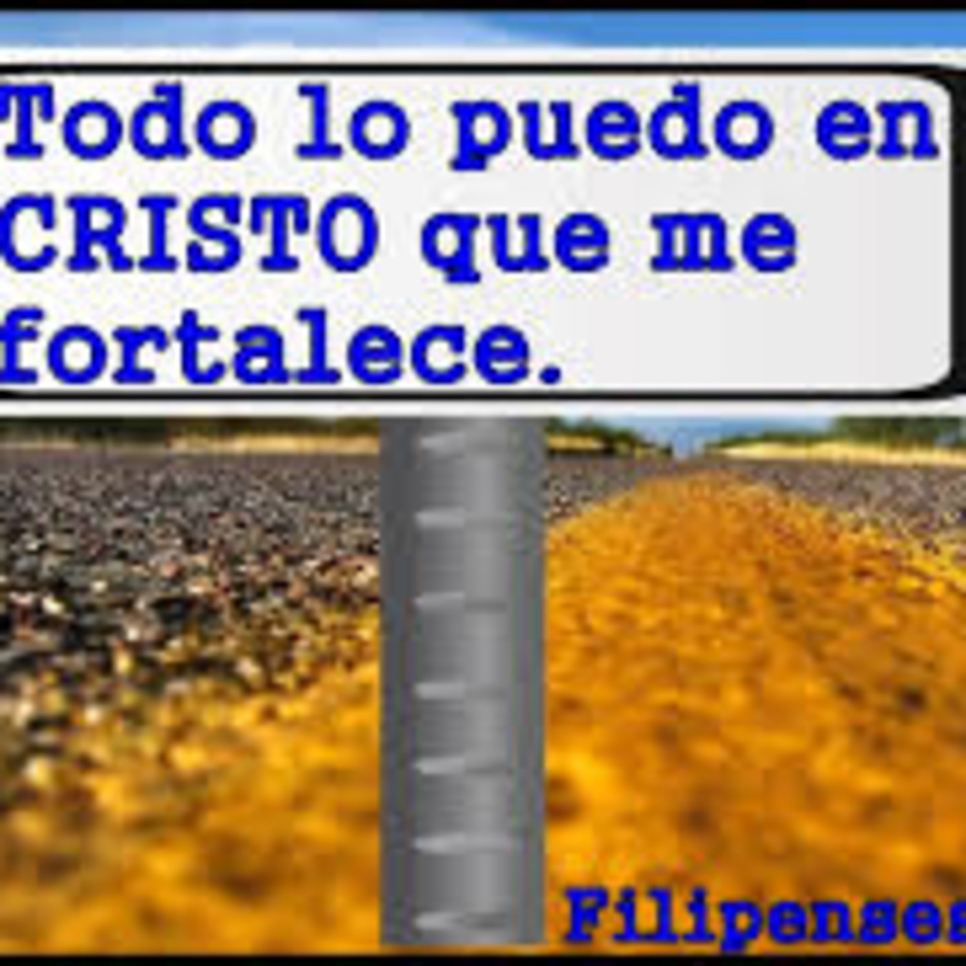 ofir urrea