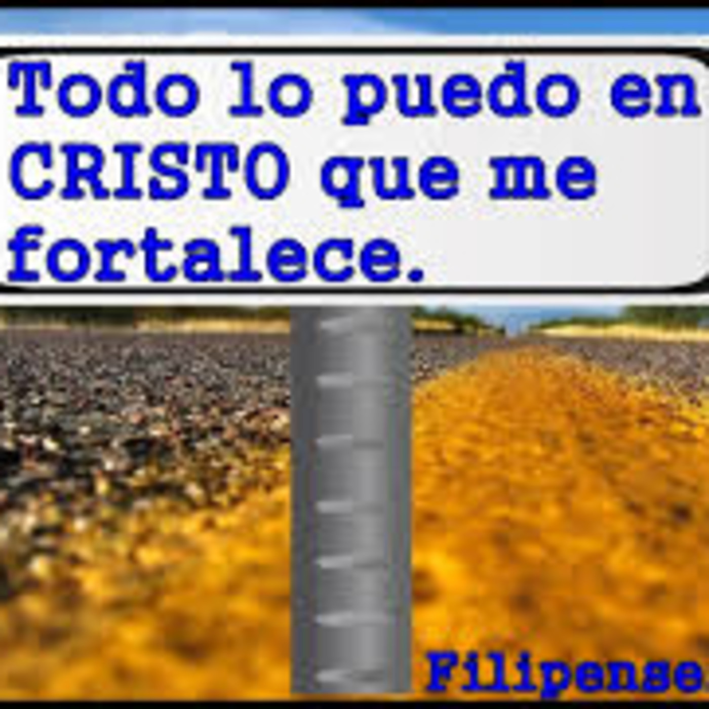 ofir urrea
