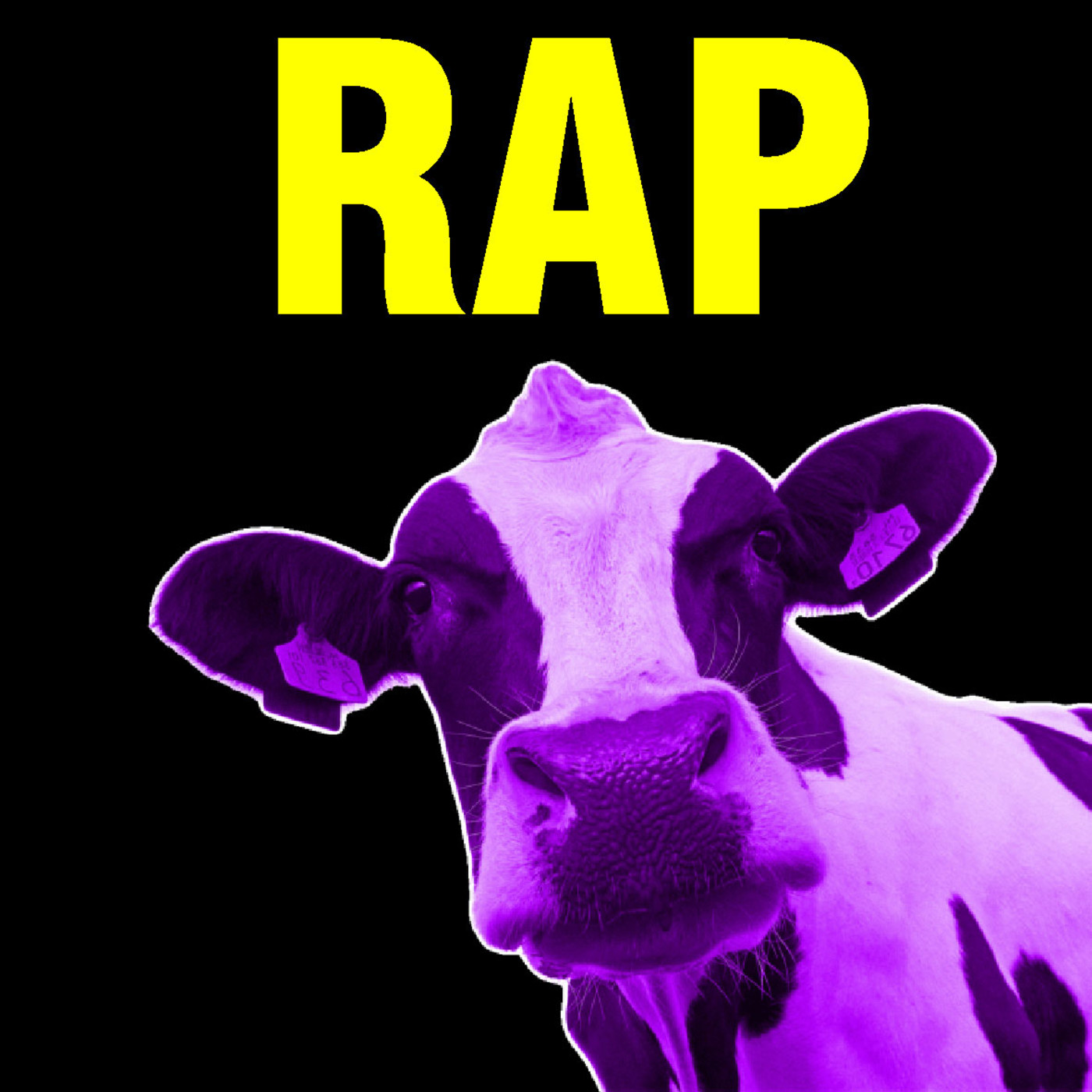 RAP de LIBROS