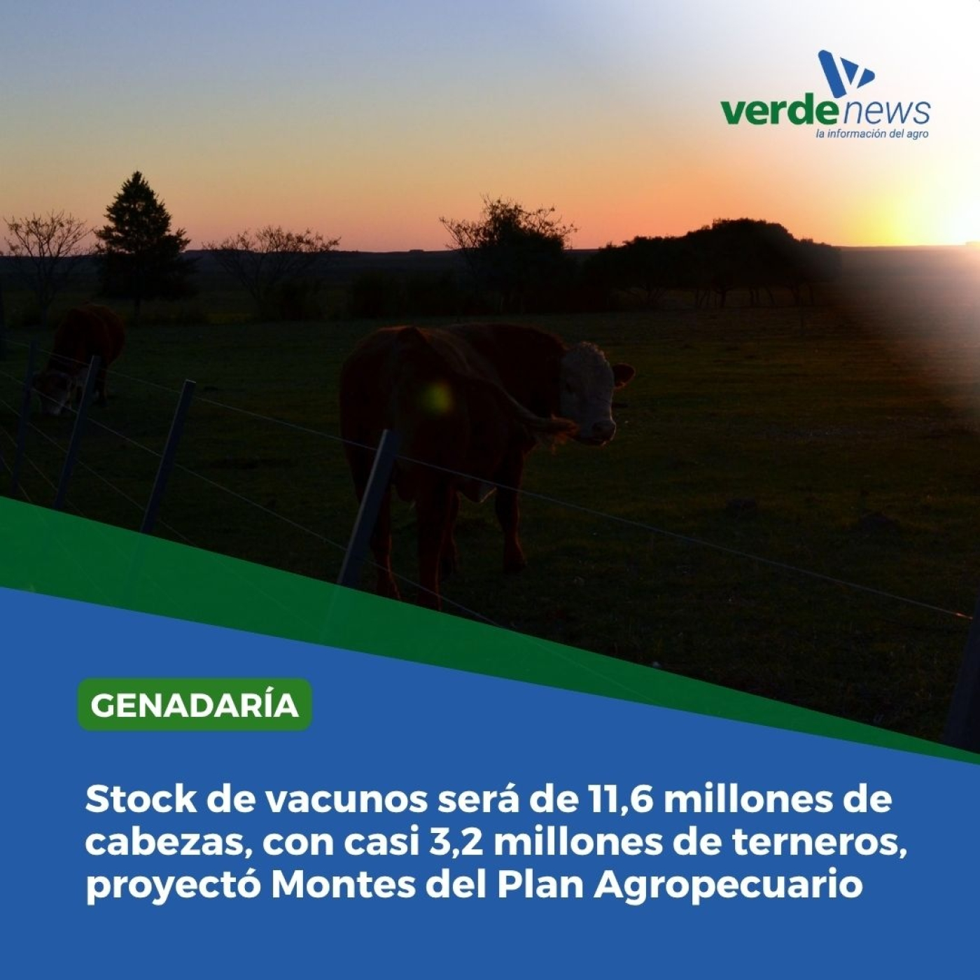 Esteban Montes - técnico del Instituto Plan Agropecuario - 29/05/25 episode artwork