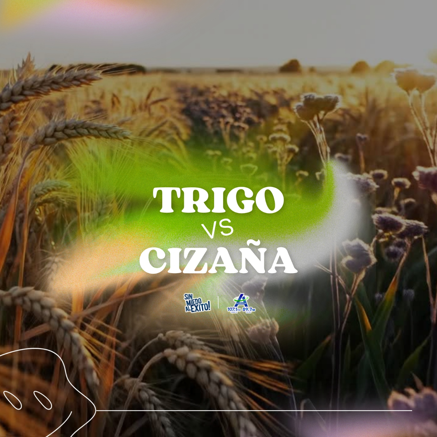 Trigo vs Cizaña episode artwork