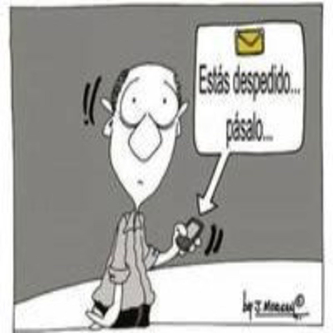 Secciones