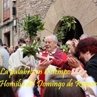 Homilía del Domingo de Ramos