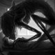 Terrores nocturnos (episodio 2)