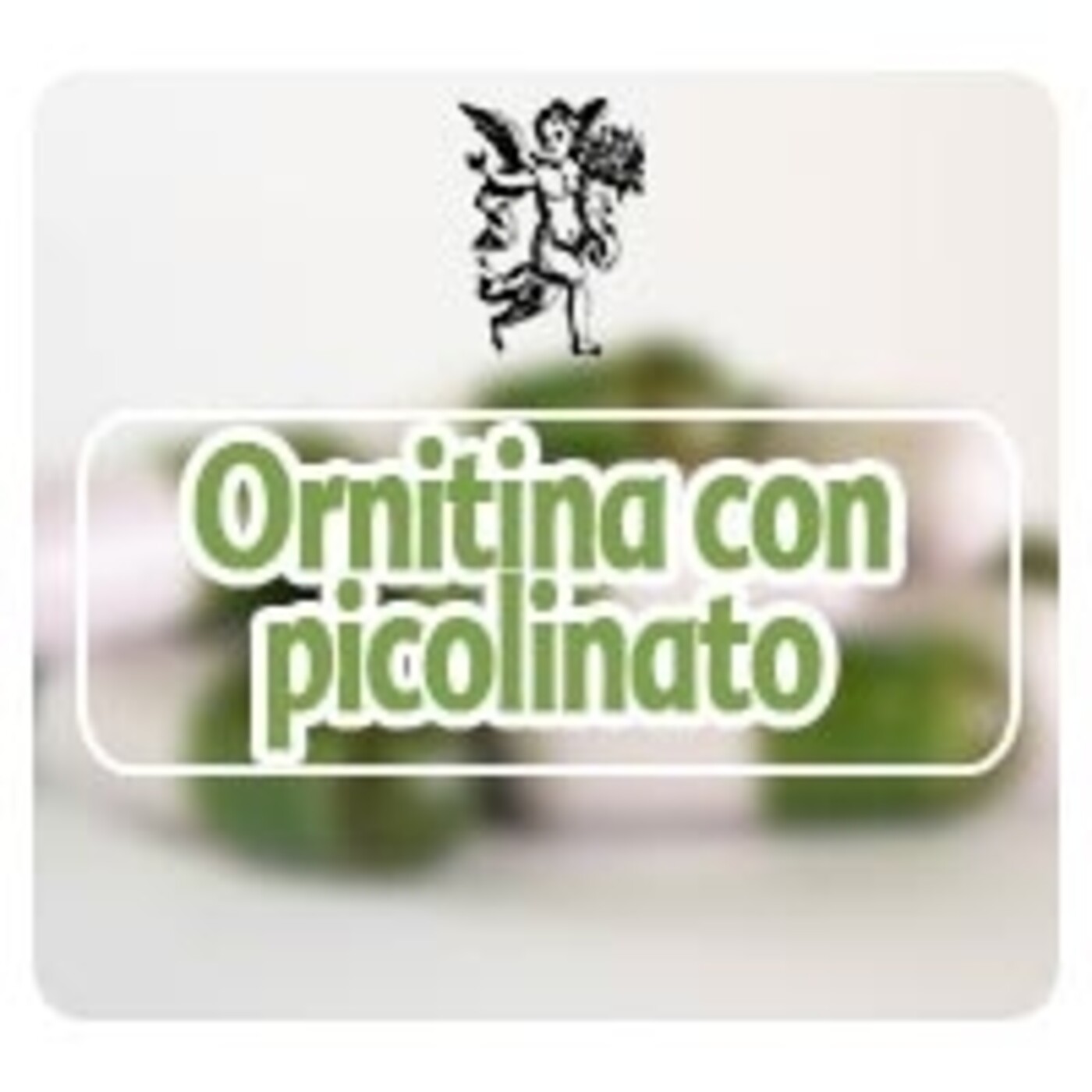 El Angel de tu Salud - ORNITINA CON PICOLINATO DE CROMO* episode artwork