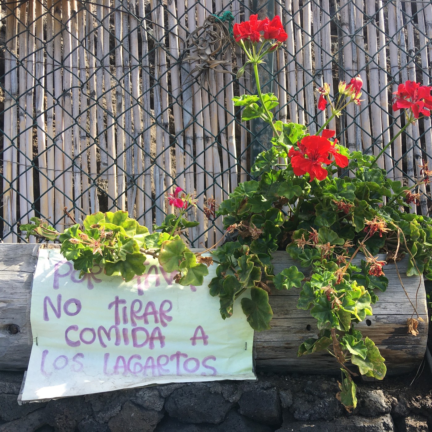 Entre lo k ocurre y lo k se me ocurre