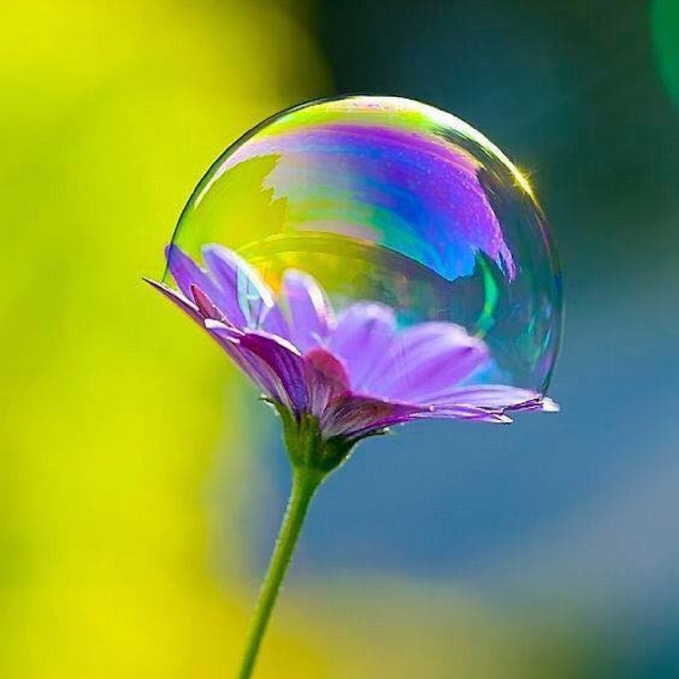 SWEETFULNESS (un Present)