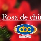 El Ángel de tu Salud - ROSA DE CHINA II