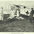 embed image