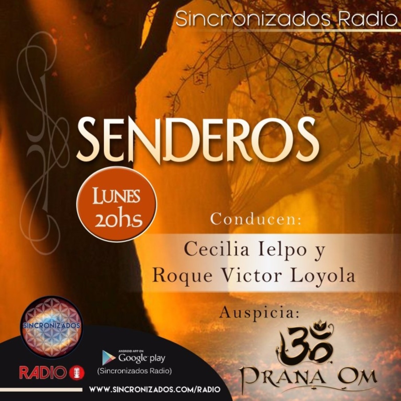 Senderos - Programa 08