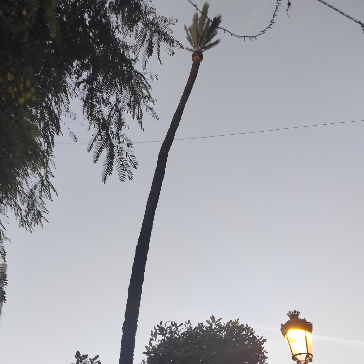 MITOS Y LEYENDAS DE HUELVA