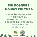 embed image