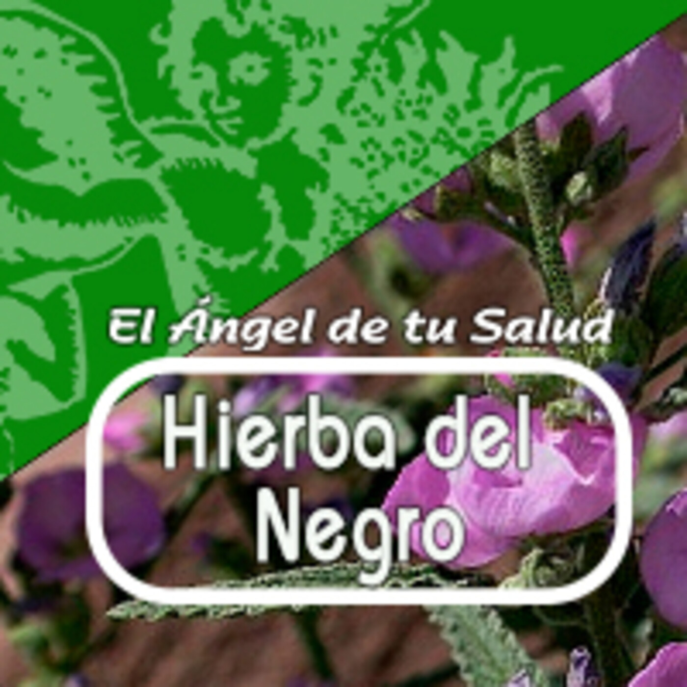 El Ángel de tu Salud - HIERBA DEL NEGRO*** episode artwork