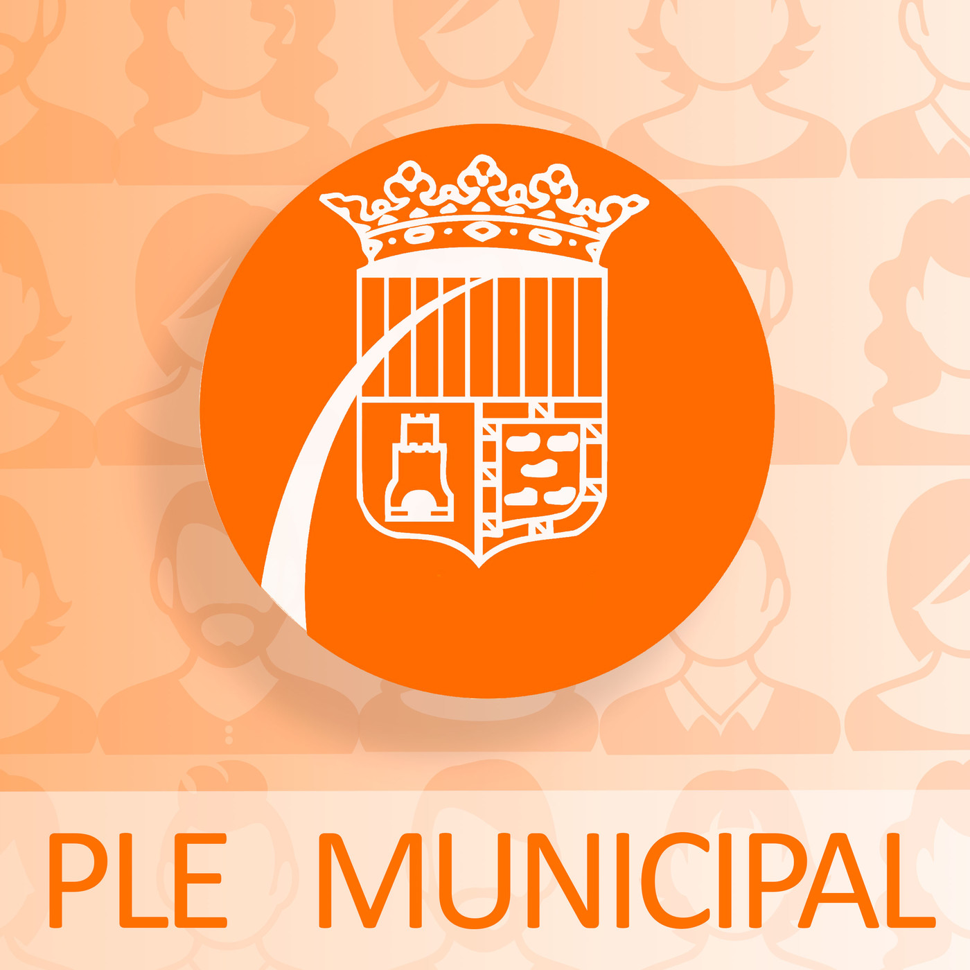 Ple municipal de març 2019. L'anàlisi episode artwork