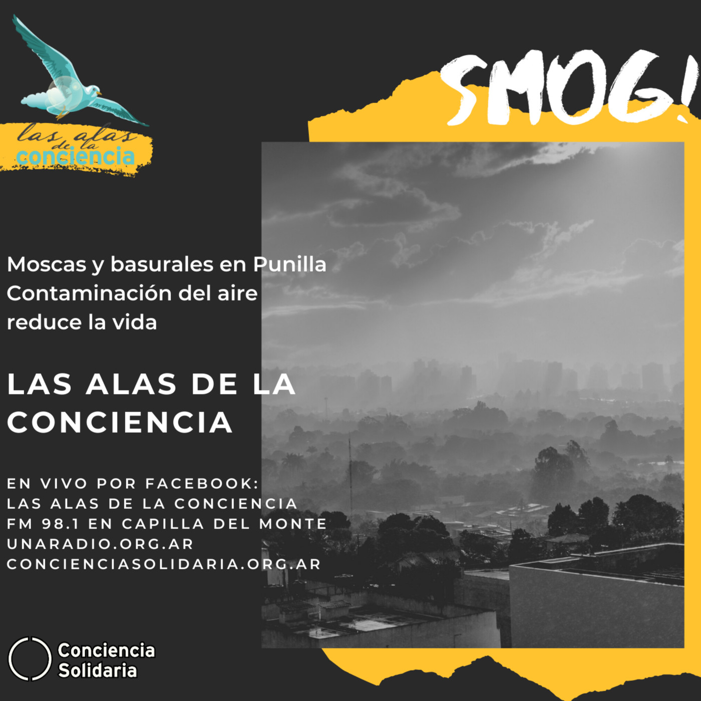 Las Alas de la Conciencia