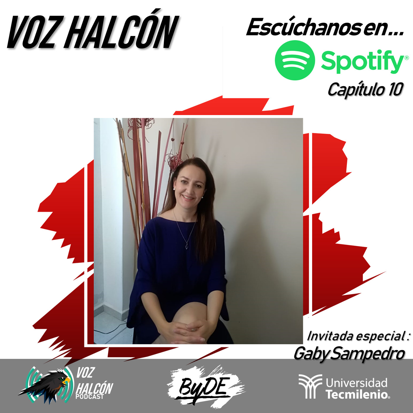 Voz Halcón