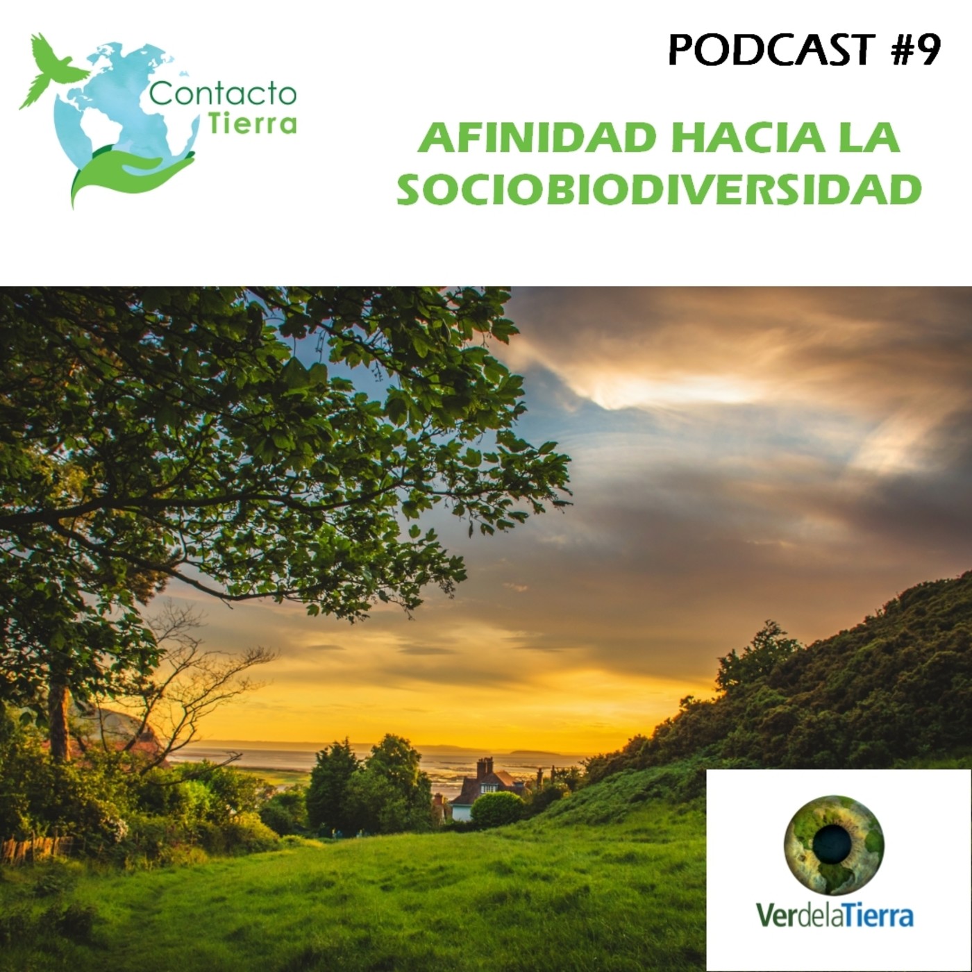 Contacto Tierra Radio USB
