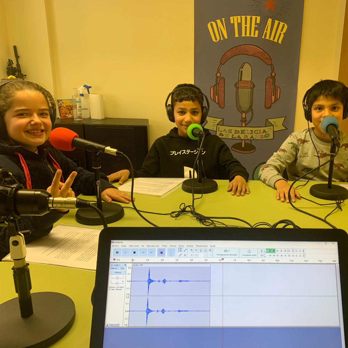 LAS DELICIAS DE LA RADIO