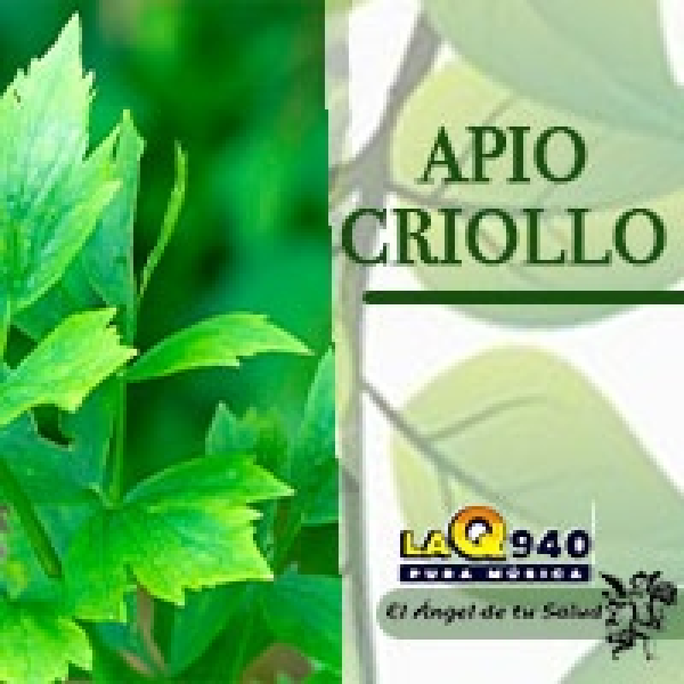 El Ángel de tu Salud - Apio Criollo** episode artwork