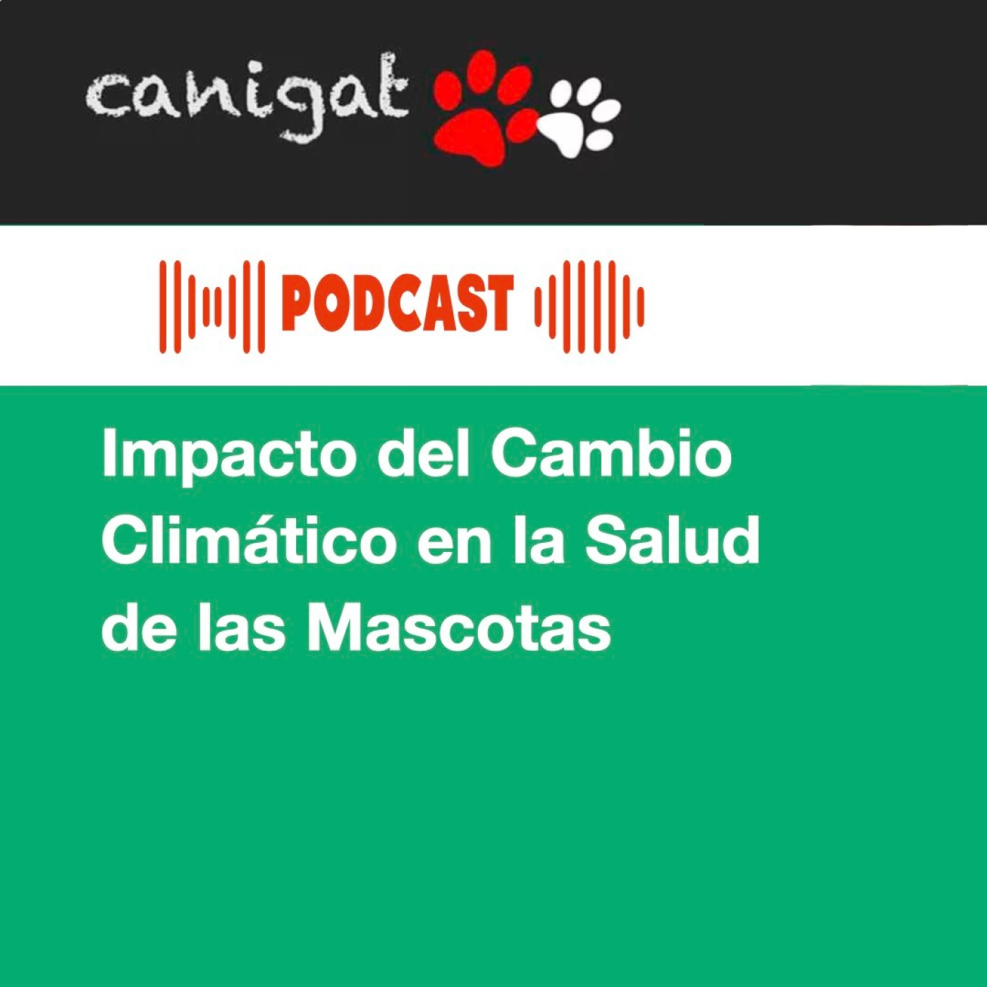 Consejos veterinarios de perros y gatos by canigat