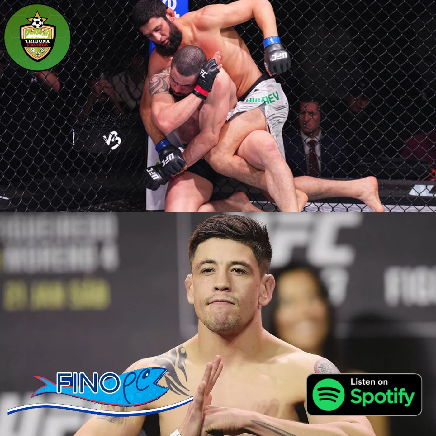 Podcast Picante de MMA - Análisis del UFC 308 y la gran victoria de Brandon Moreno episode artwork