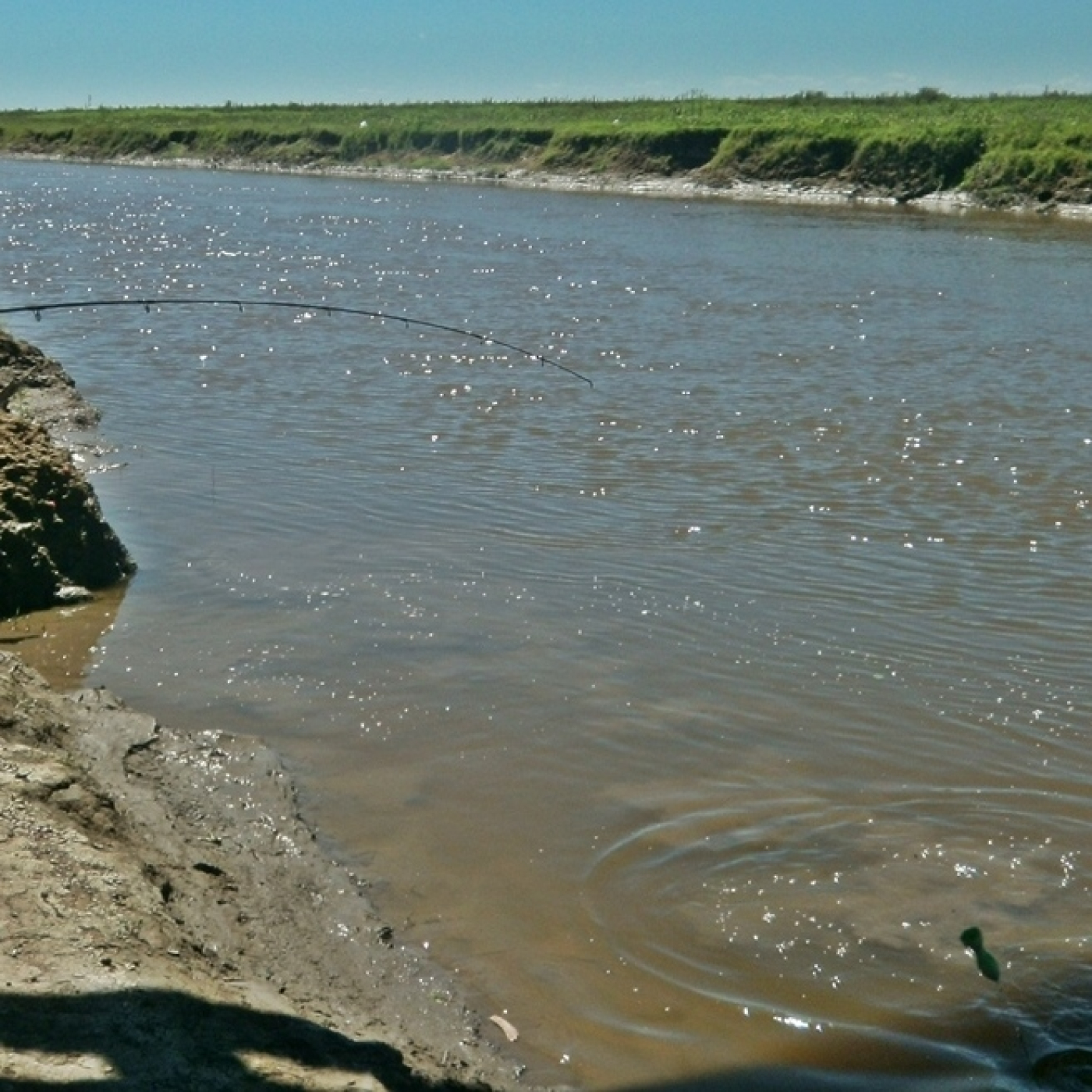 Planeta Pesca