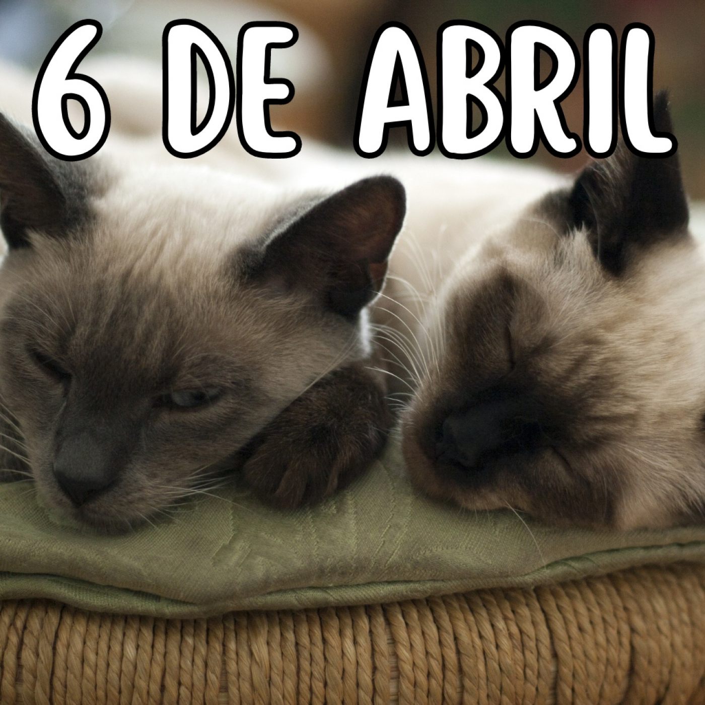 Matinal 6 de Abril 2023 Jueves Santo episode artwork