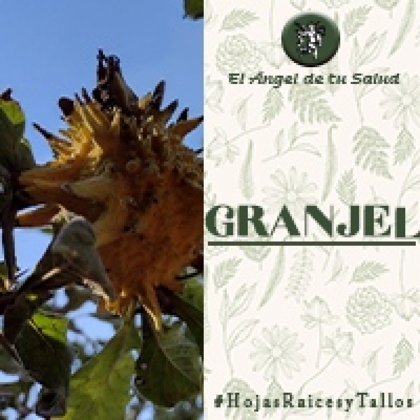 El Ángel de tu Salud - Granjel**