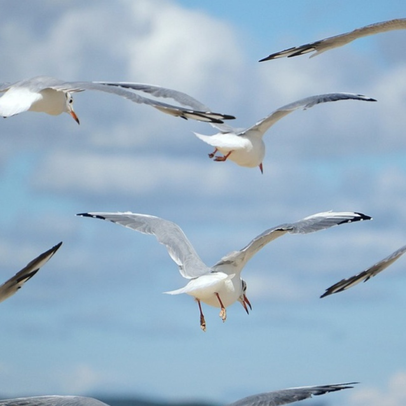 CASTRO URDIALES MÁS DE UNO