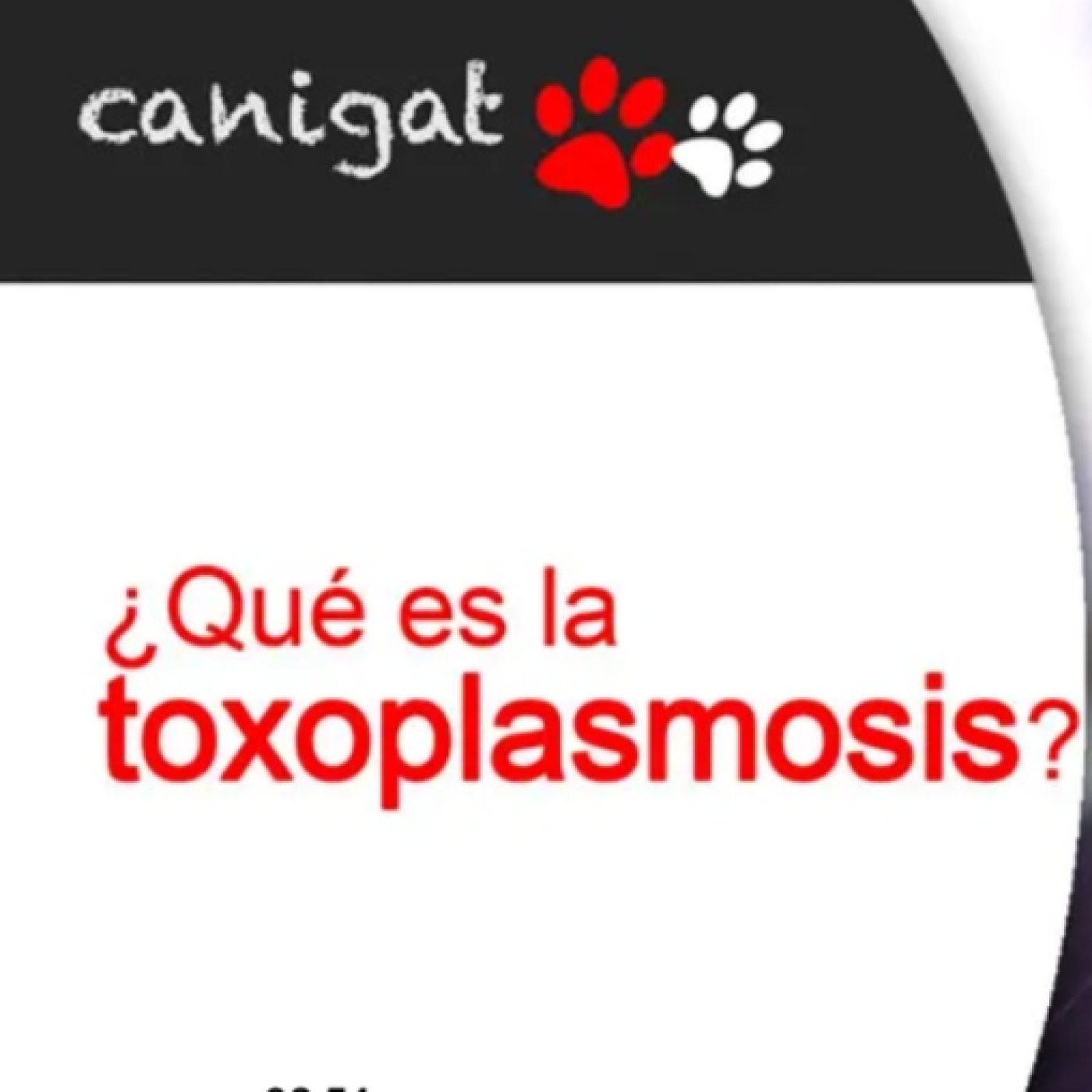 Consejos veterinarios de perros y gatos by canigat