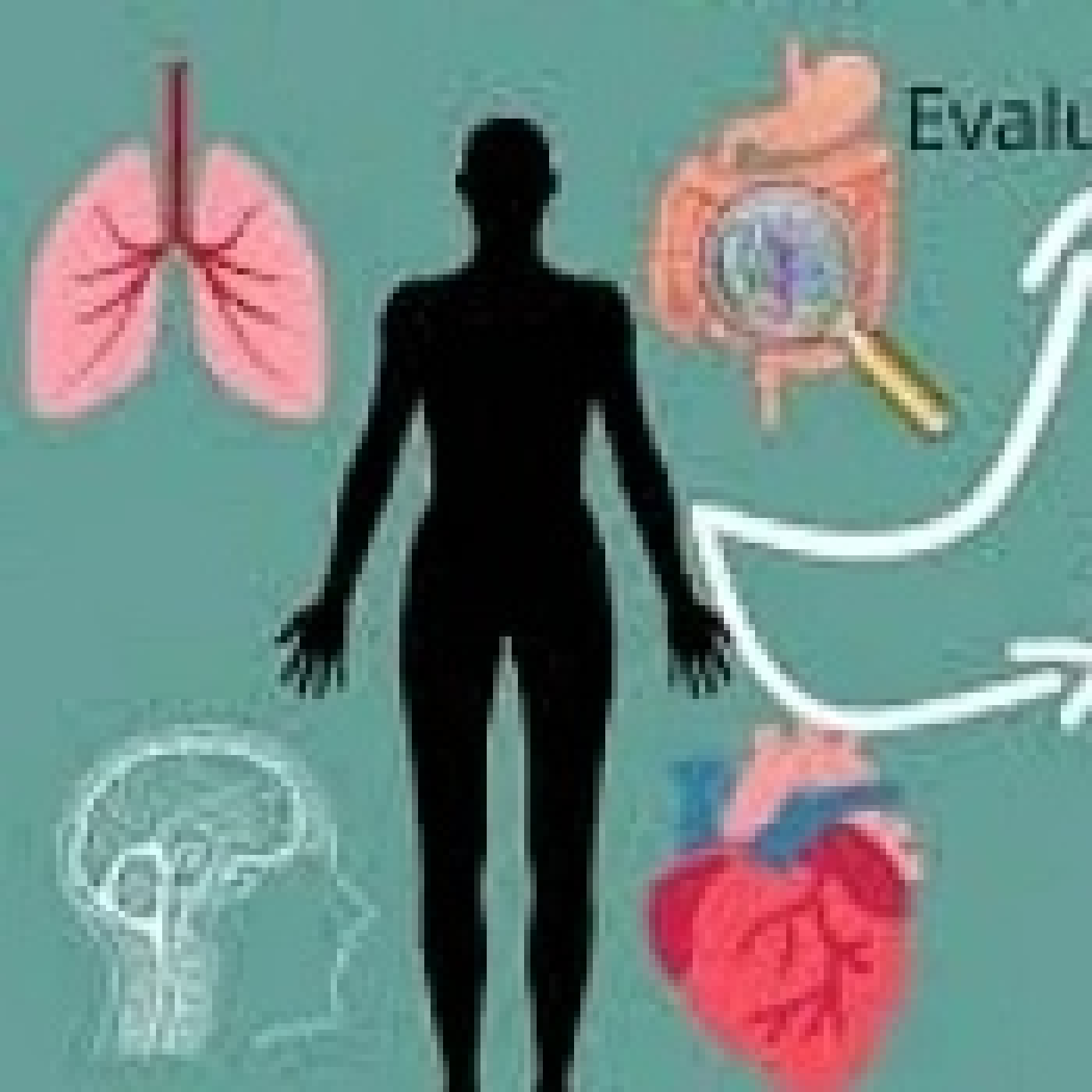 El factor energético en la salud humana. - Episodio exclusivo para mecenas episode artwork