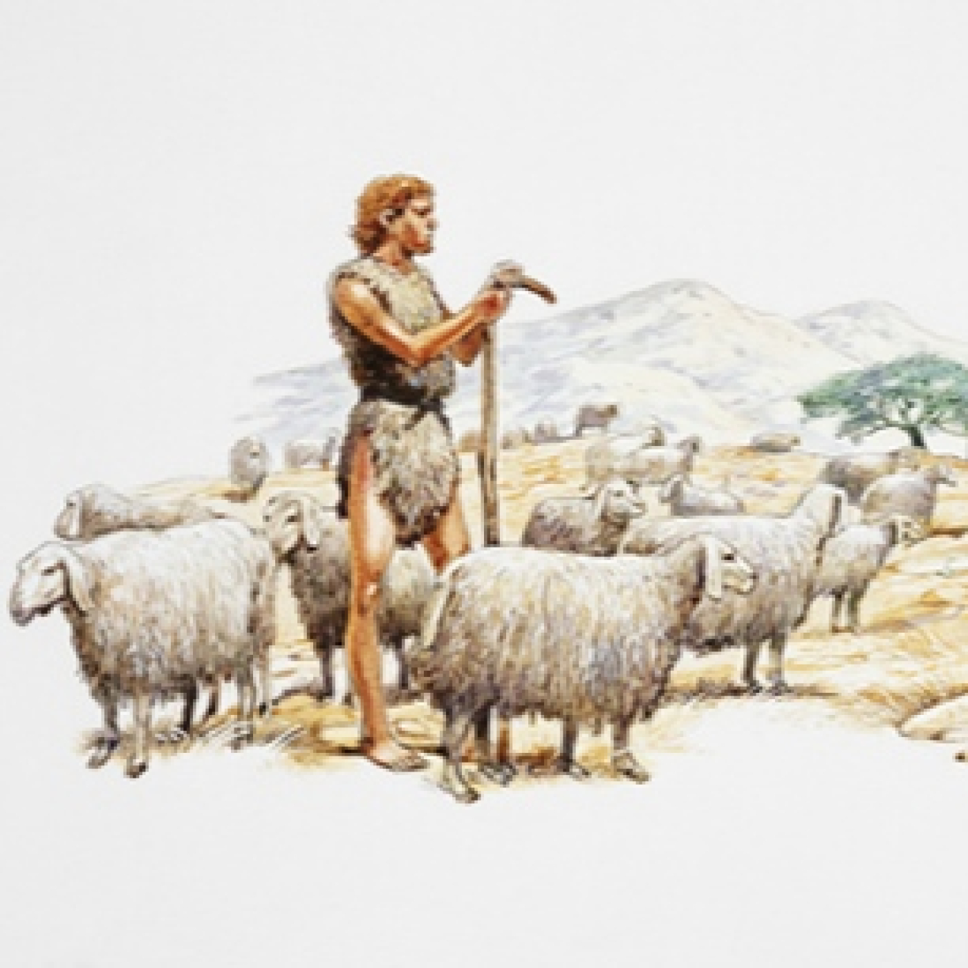 La cueva del Topo