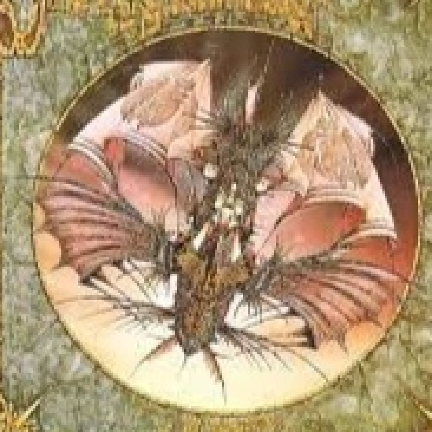 637 - Jon Anderson - Olias Of Sunhillow (1976) episode artwork