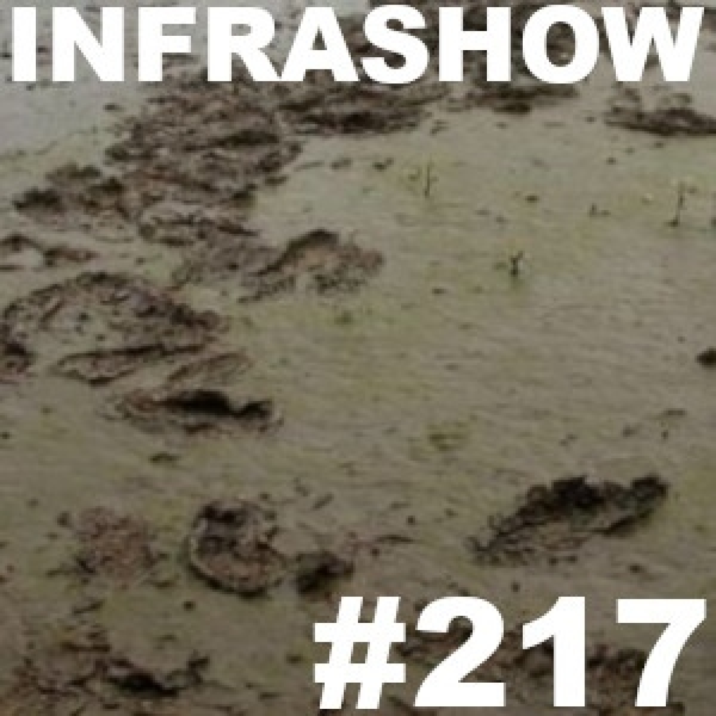 INFRASHOW - MIGUEL NOGUERA