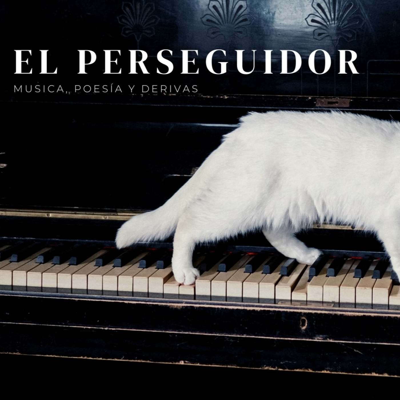 Notas y Entrevistas en Medios