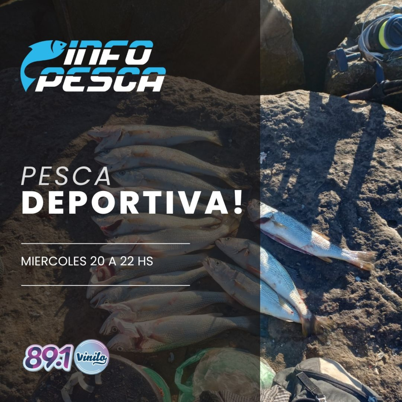 INFOPESCA MDQ