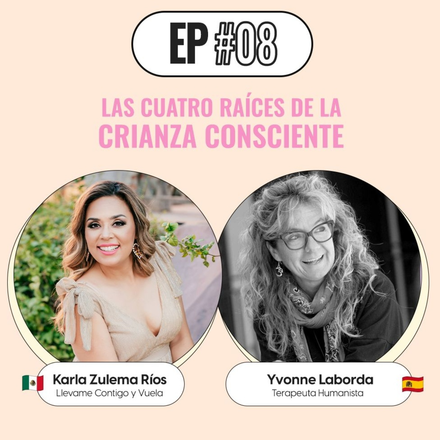 Llévame Contigo y Vuela